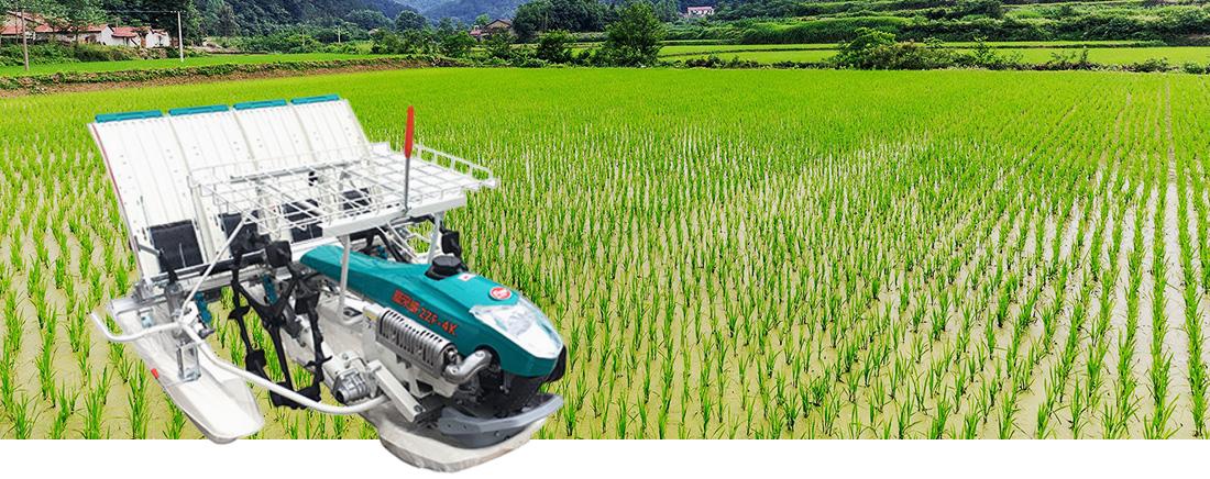 Nantong FLW Argricultural Equipment Co., Ltd.